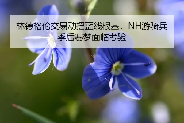 林德格伦交易动摇蓝线根基，NH游骑兵季后赛梦面临考验