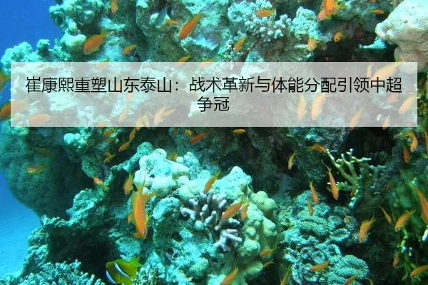 cui-kang-xi-zhong-su-shan-dong-tai-shan-zhan-shu-ge-xin-yu-ti-neng-fen-pei-yin-ling-zhong-chao-zheng-guan-3-675.jpg