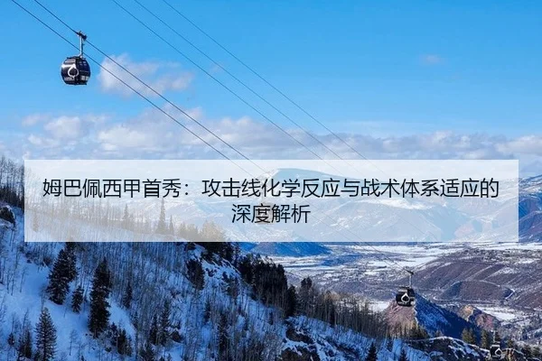 mu-ba-pei-xi-jia-shou-xiu-gong-ji-xian-hua-xue-fan-ying-yu-zhan-shu-ti-xi-shi-ying-de-shen-du-jie-xi-2-569.jpg