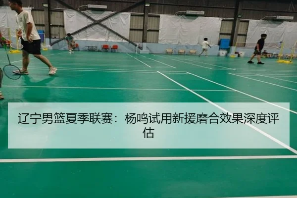 辽宁男篮夏季联赛：杨鸣试用新援磨合效果深度评估
