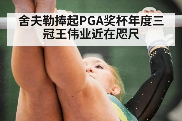 舍夫勒捧起PGA奖杯年度三冠王伟业近在咫尺